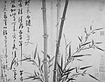 bamboo_wuchen1.jpg