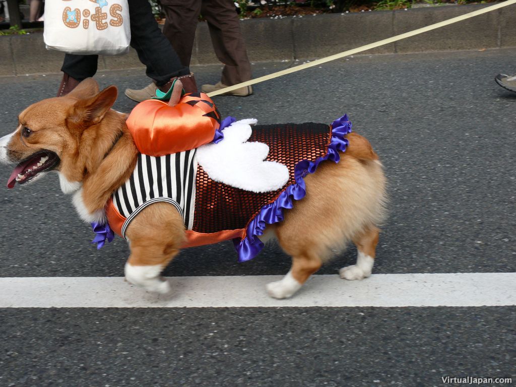 tokyo-halloween-parade-2006-129