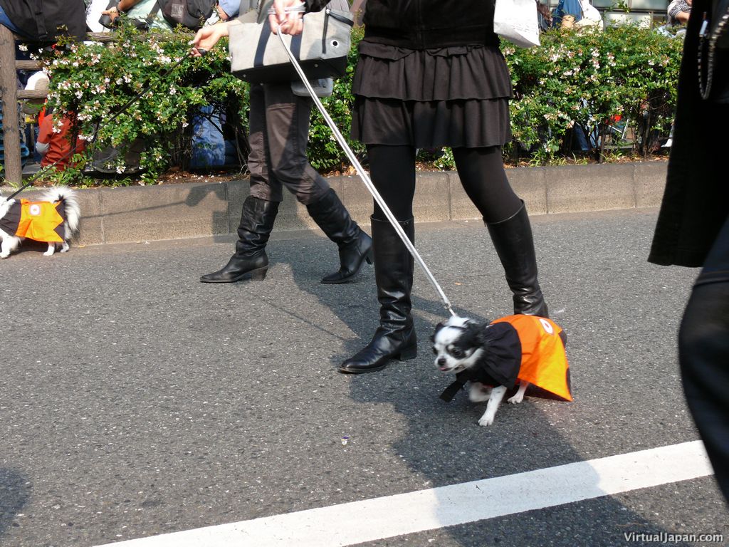 tokyo-halloween-parade-2006-135