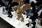 Tokyo-Wonderfest-2007-022.jpg