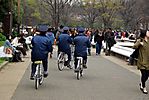 Cherry-Blossoms-2007-Yoyogi-Park-Tokyo-001.jpg