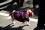 Harajuku-Pumpkin-Parade-2007-086.jpg