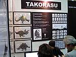 Tokyo-Anime-Fair-2008-023.jpg