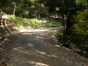 MATSUYAMA_CASTLE_06