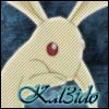 Kal3ido's Avatar