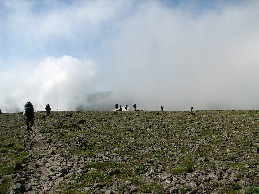 IMG_1748