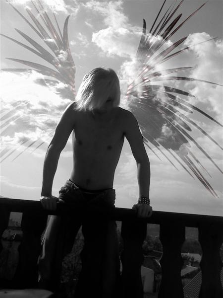 Wings_Medium_