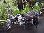 motorbike-093006-08.jpg