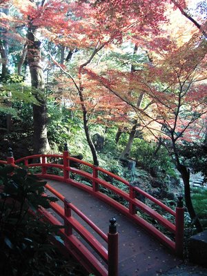 Tokyo_Garden