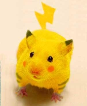 Pikachu_cosplay