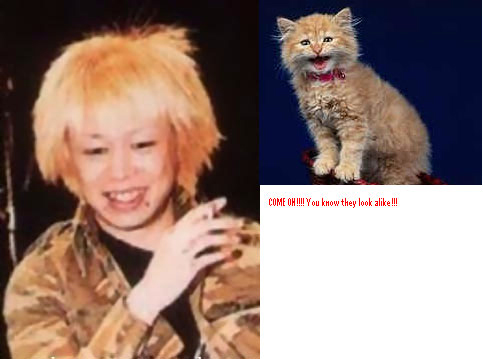 dir_en_grey_kitty_kyo