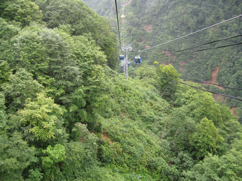 fuji-rock-festival-2006-15