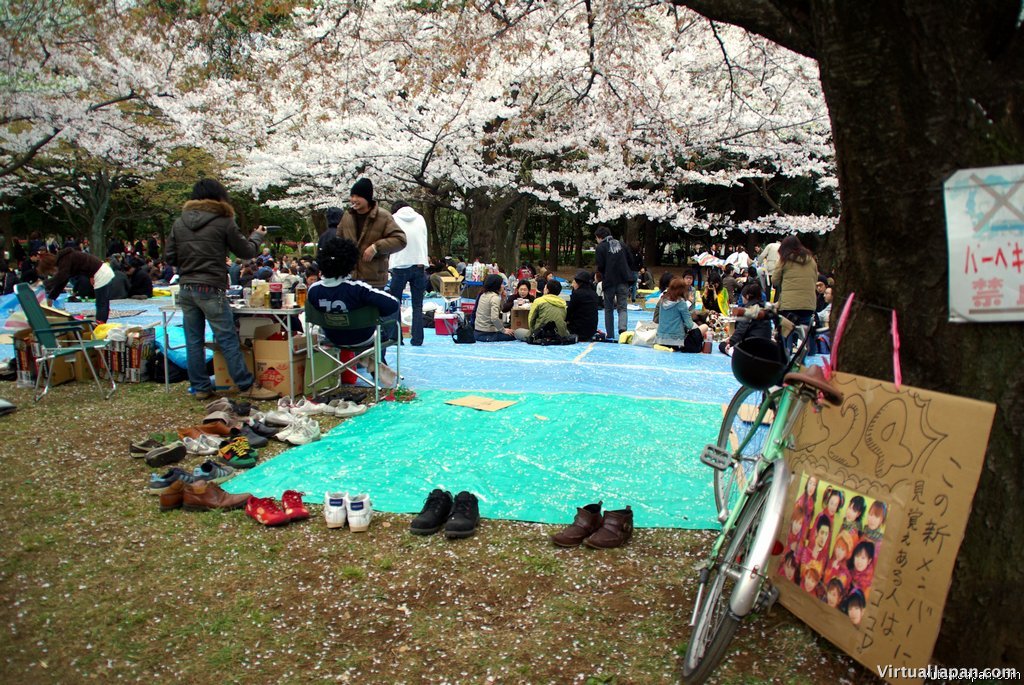 Cherry-Blossoms-2007-Yoyogi-Park-Tokyo-028