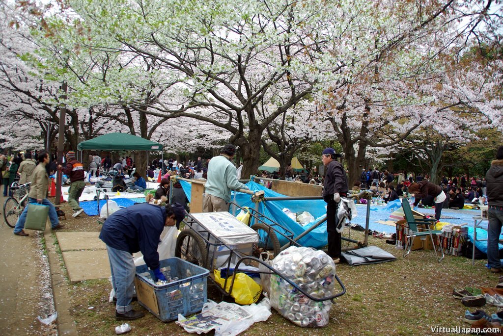 Cherry-Blossoms-2007-Yoyogi-Park-Tokyo-029