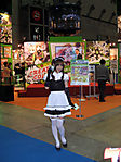 Tokyo-Anime-Fair-2008-016.jpg
